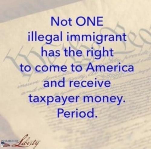 X not one illegal immigrant