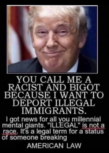 X American Law
