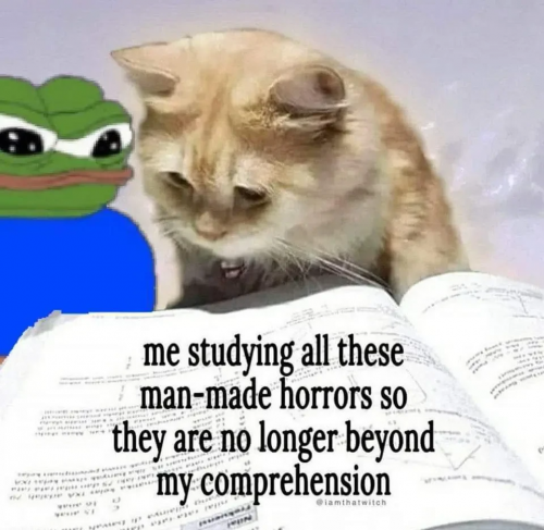 2fdca55668c5d77895ef6b8d75e2eb1c-Full