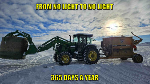 fnltnl365dy