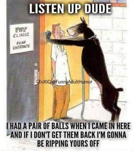 Funny - Great Dane