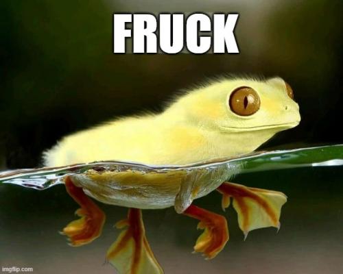 317924648_10158741723381087_2883214799173444693_n