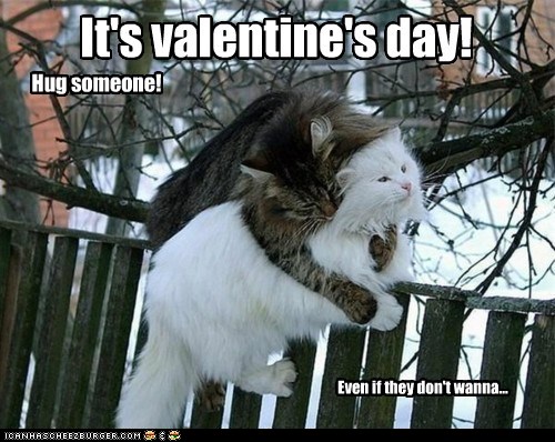 funny-pictures-its-valentines-day-4170327435