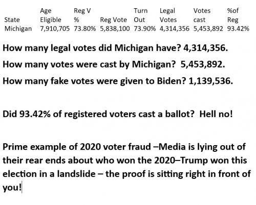 State Voterfraud Michigan