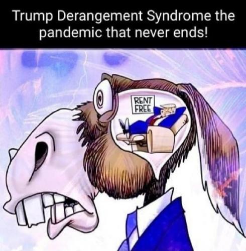 Trump, Democrat, Donkey Brain -- 'Rent Free'