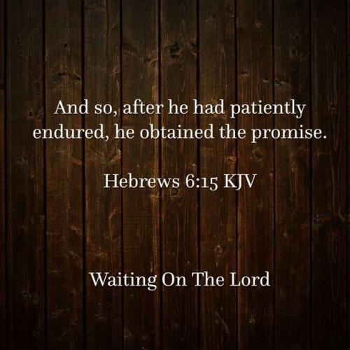 IMG_20240207_091606_273