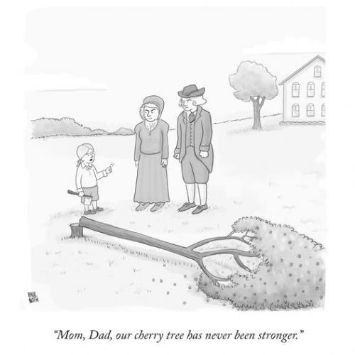 george washsington's cherry tree