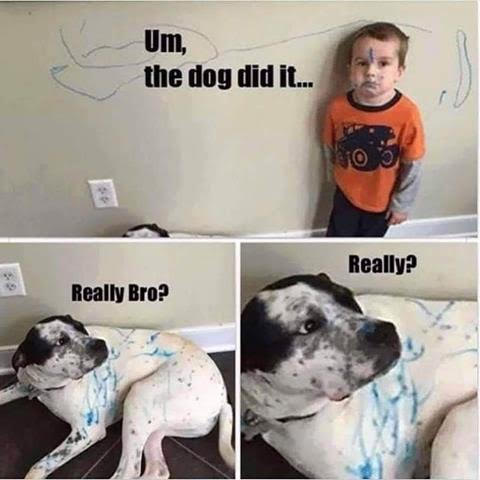 Pet, Boy, Crayon -- The Dog did it