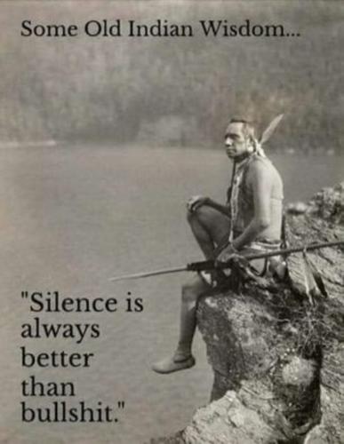Crying Indian -- Silence is better than Bullshit