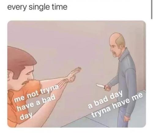 415573049_10228557180567859_9158003826945385752_n