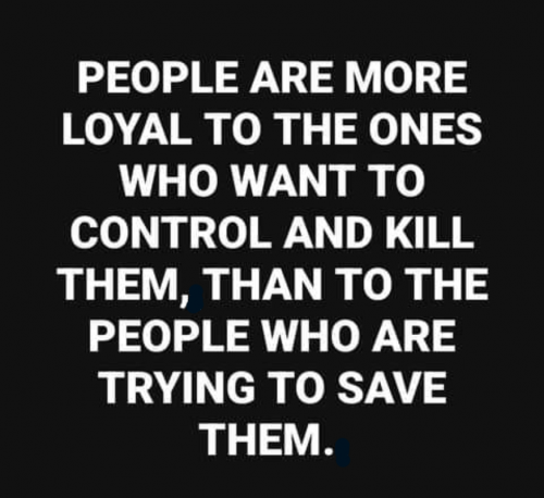 M loyal