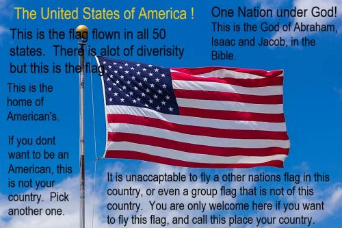 U-S-AFlag1 - Copy