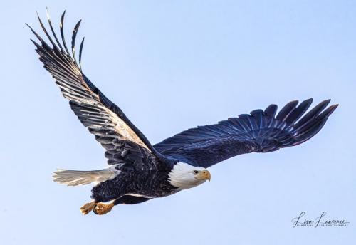 425631661_795964075881284_2925789342402175026_n