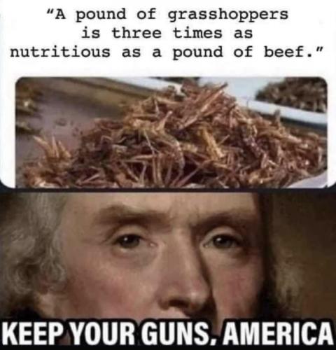 M grasshoppers