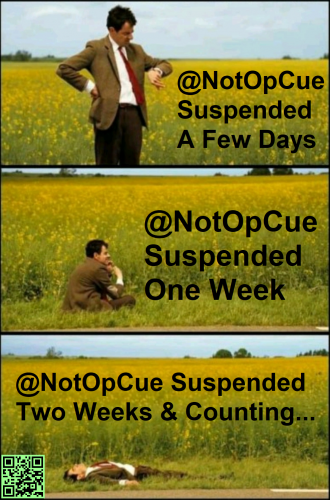 NotOpCue Banned Meme 15