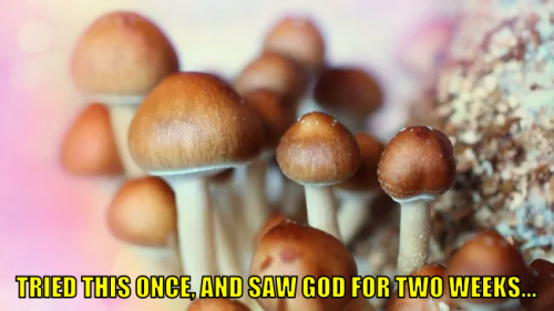 ttosgftw