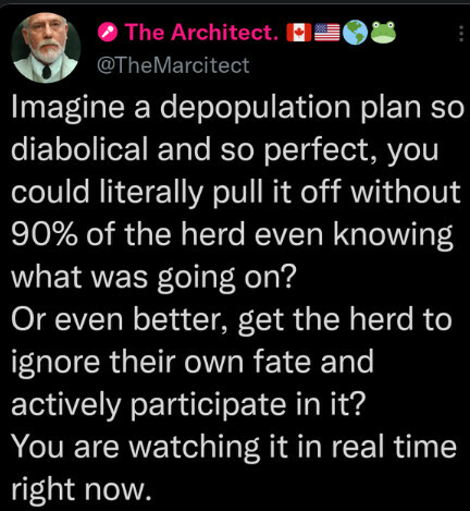 c916e4c25454e202
