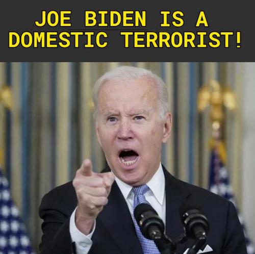 X domestic terrorist