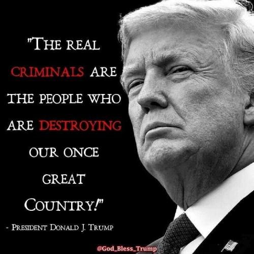 USA real criminals