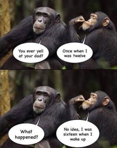 B yell at dad