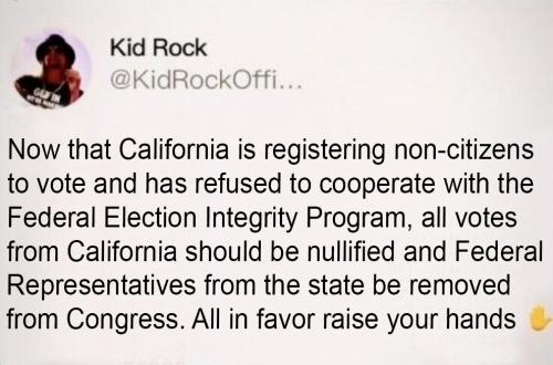 X Kid Rock