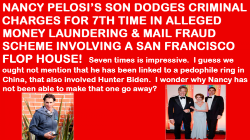 Pelosi Son Is Shady
