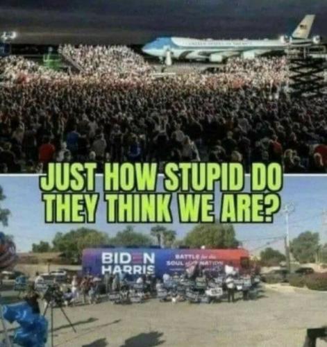 X think stupid