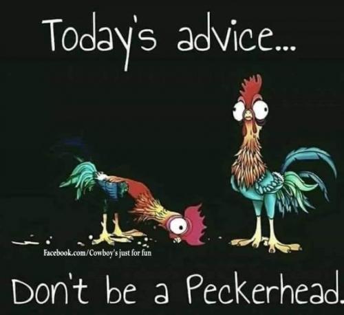 306160801_2192300490943186_6559404061199315166_n