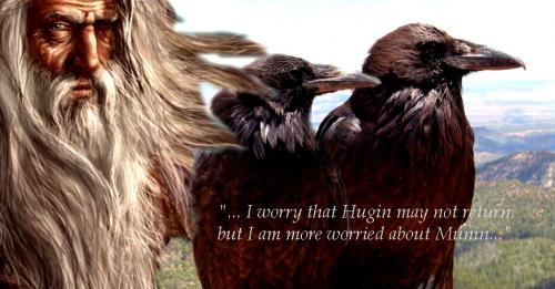 Powerful Ravens Of Odin