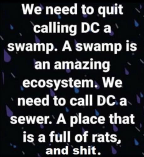 RO DC swamp
