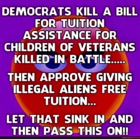 Illegal Immigration -- Schools for Illegals, not Veterans