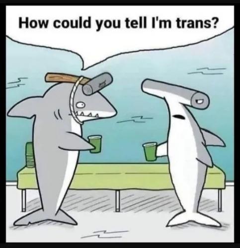 1000018236