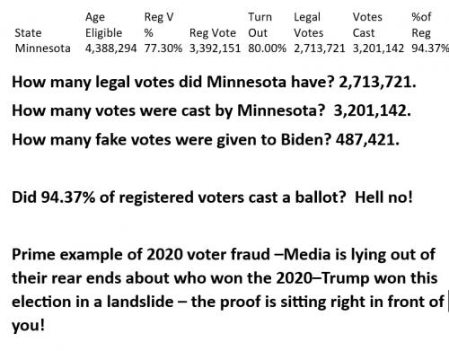State Voterfraud Minnesota