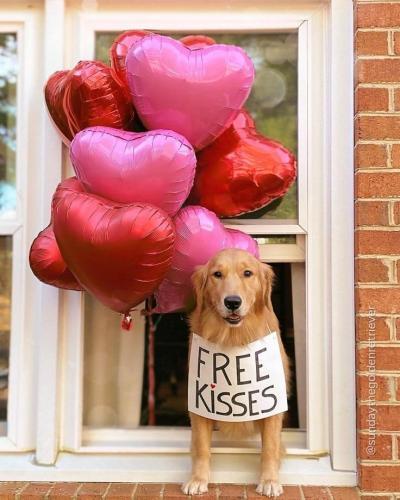 418805980_922625879316423_8078359067325066795_n