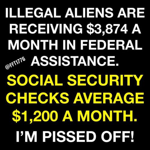 Ileagal Aliens Get Tree Thousand Eight Hunfred and Seventy Foura Damn Dollars a Month