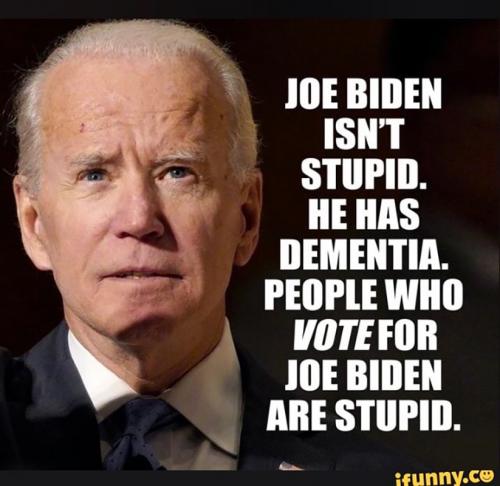 B isn't stupid