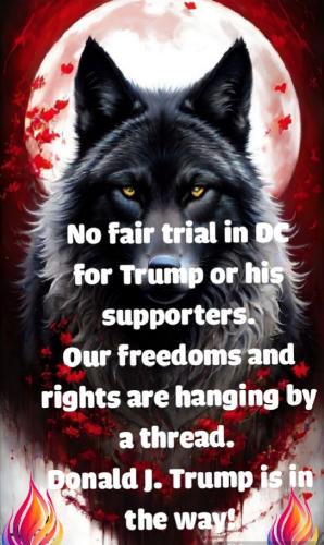 edited_pz_1706900486006