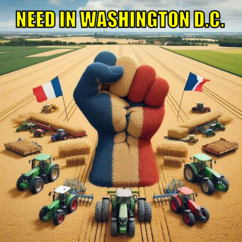 niwdc