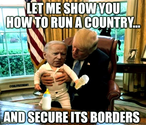 Trump ~Teaching The Dumby~