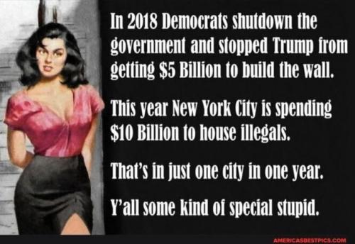 Illegal Immigration, Democrats, Trump, Biden, NYC -- Building the Wall or Housing the Illegals