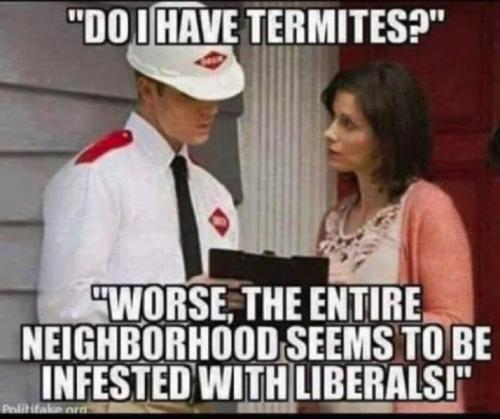 termites