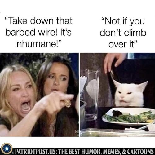 417465229_729420959286918_860951290685410402_n