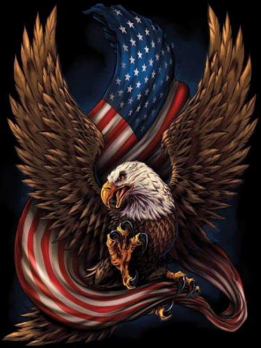 RO eagle flag