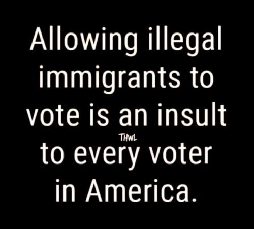 X allowing immigrant vote