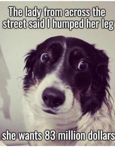 jTuMxpSH