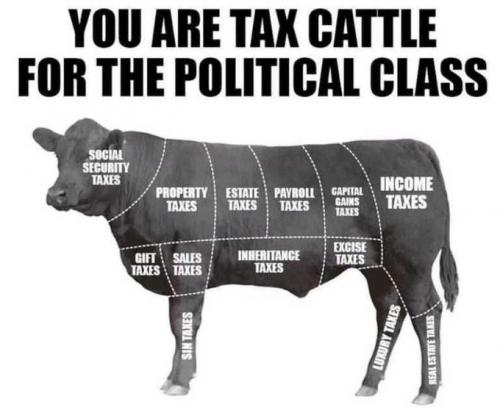 Tax Cattle