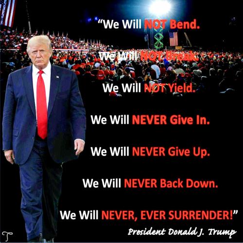 Donald Trump ~NEVER Surrender~