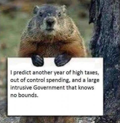 RO groundhog predicts