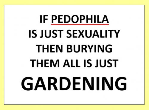 B pedophilia