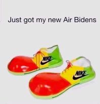 air bidens